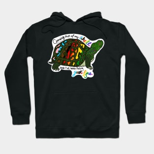 LGBT+ Pride Turtle Hoodie